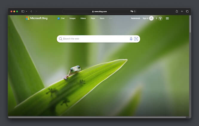 Bing Cached Pages
